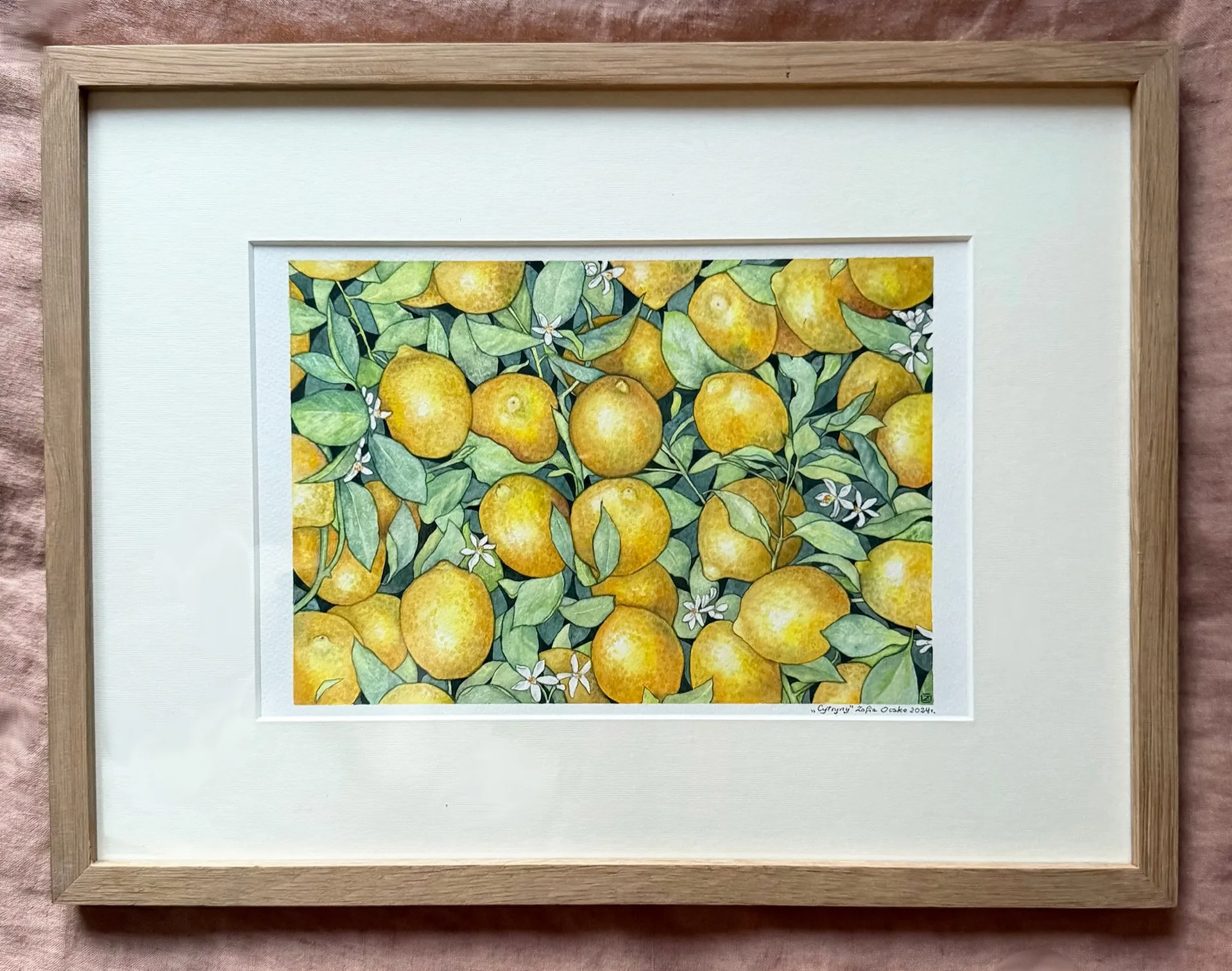 Oryginalna akwarela Cytryny — Zofia Oczko, 30×40 cm