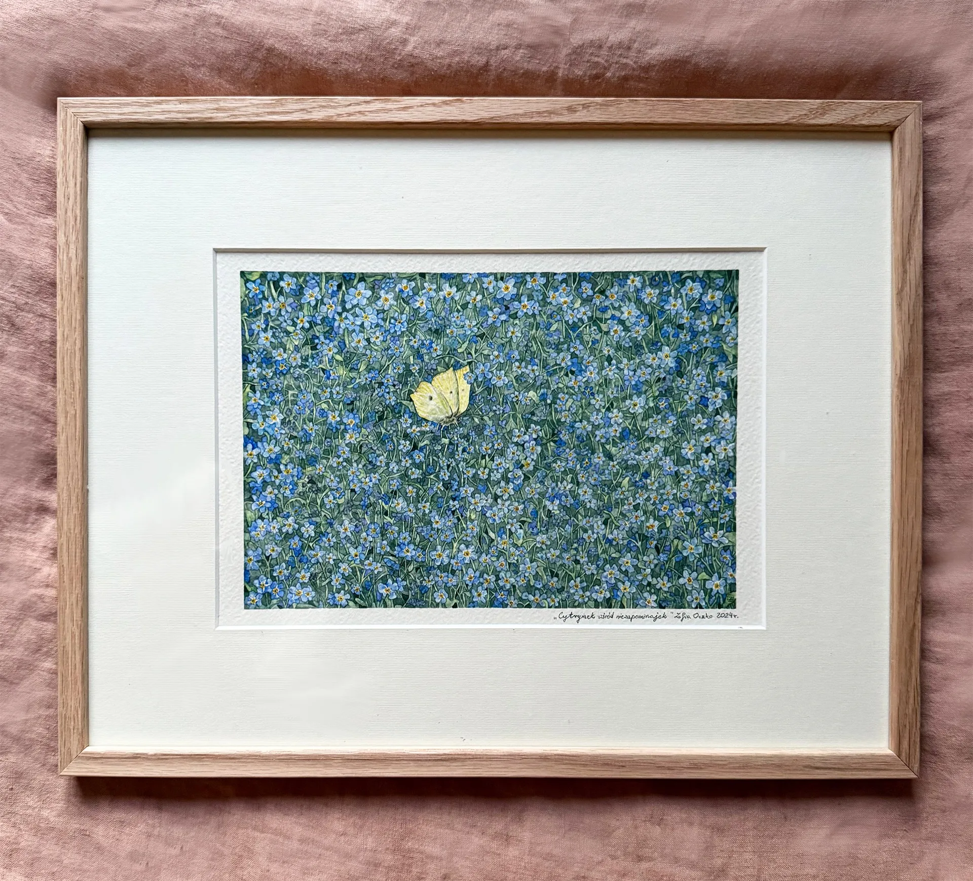 Oryginalna akwarela Niezapominajki — Zofia Oczko, 30×40 cm